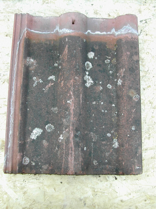 bensreckyard ebay photo Concrete redland double roman 2