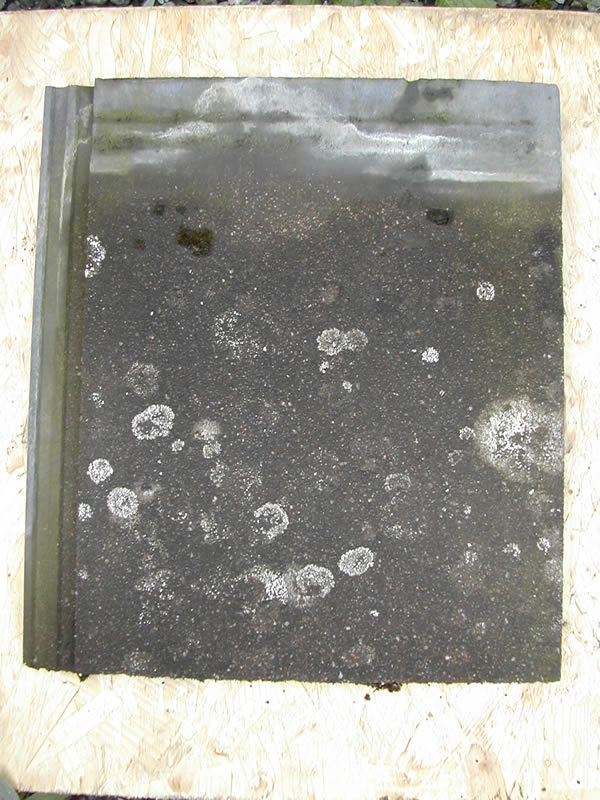 bensreckyard ebay photo Concrete stonewold tile 1